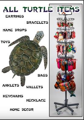 Exclusive Turtle Items Selection